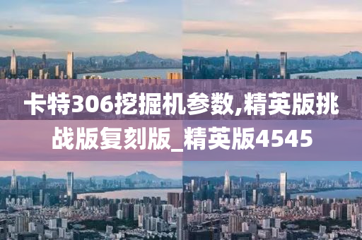 卡特306挖掘机参数,精英版挑战版复刻版_精英版4545