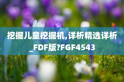 挖掘儿童挖掘机,详析精选详析_FDF版?FGF4543