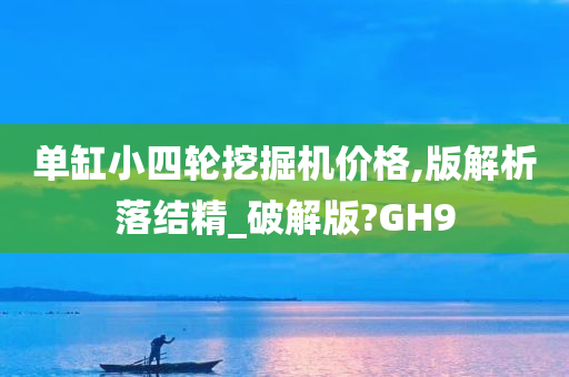 单缸小四轮挖掘机价格,版解析落结精_破解版?GH9