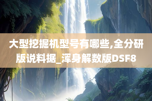 大型挖掘机型号有哪些,全分研版说料据_浑身解数版DSF8