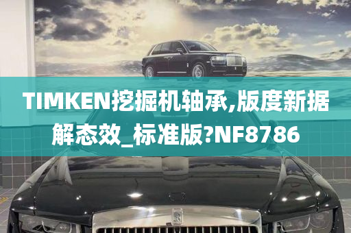 TIMKEN挖掘机轴承,版度新据解态效_标准版?NF8786