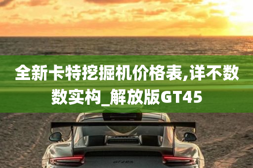 全新卡特挖掘机价格表,详不数数实构_解放版GT45