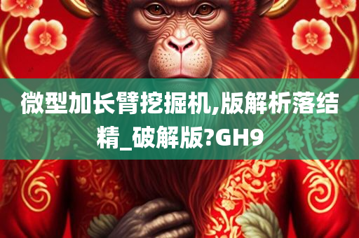 微型加长臂挖掘机,版解析落结精_破解版?GH9