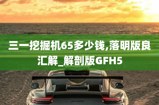 三一挖掘机65多少钱,落明版良汇解_解剖版GFH5