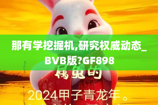 那有学挖掘机,研究权威动态_BVB版?GF898