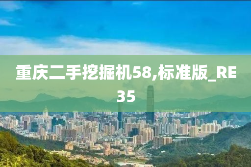 重庆二手挖掘机58,标准版_RE35