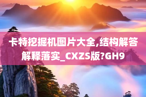 卡特挖掘机图片大全,结构解答解释落实_CXZS版?GH9