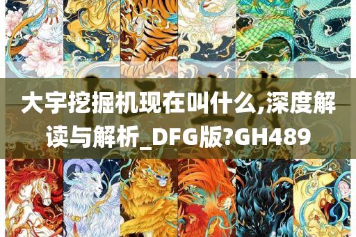 大宇挖掘机现在叫什么,深度解读与解析_DFG版?GH489