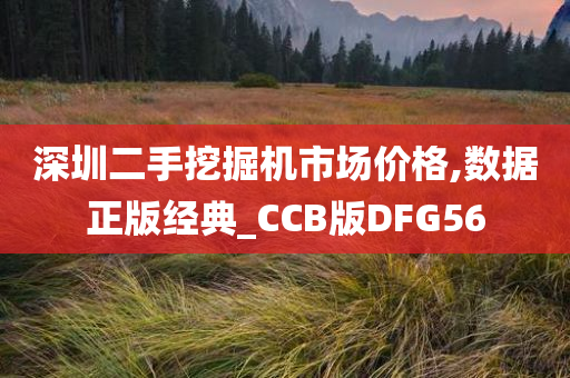 深圳二手挖掘机市场价格,数据正版经典_CCB版DFG56