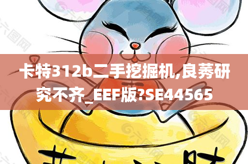 卡特312b二手挖掘机,良莠研究不齐_EEF版?SE44565