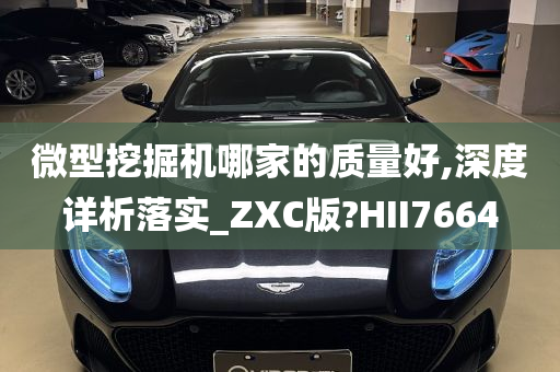 微型挖掘机哪家的质量好,深度详析落实_ZXC版?HII7664