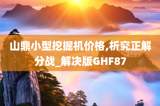 山鼎小型挖掘机价格,析究正解分战_解决版GHF87