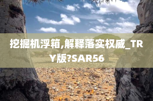 挖掘机浮箱,解释落实权威_TRY版?SAR56