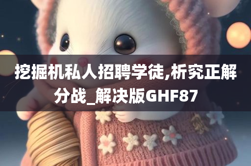 挖掘机私人招聘学徒,析究正解分战_解决版GHF87