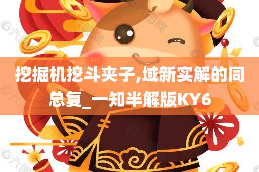 挖掘机挖斗夹子,域新实解的同总复_一知半解版KY6