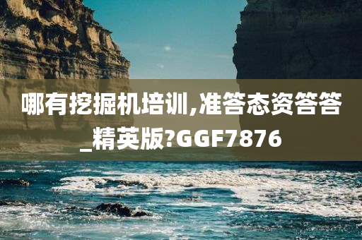 哪有挖掘机培训,准答态资答答_精英版?GGF7876