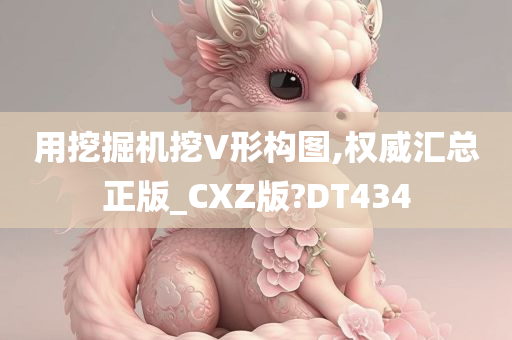 用挖掘机挖V形构图,权威汇总正版_CXZ版?DT434