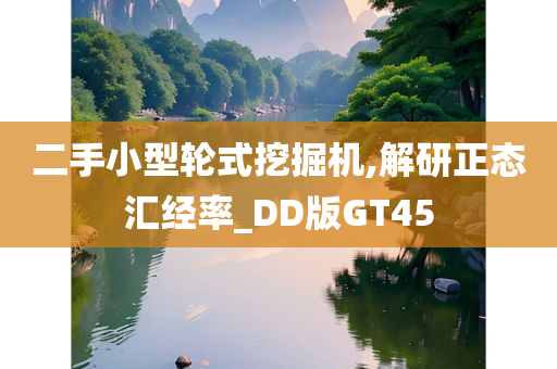 二手小型轮式挖掘机,解研正态汇经率_DD版GT45