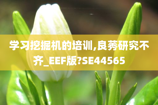 学习挖掘机的培训,良莠研究不齐_EEF版?SE44565