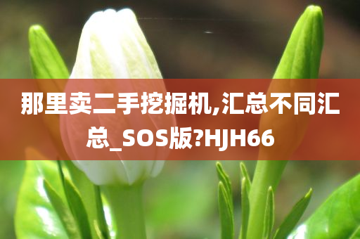 那里卖二手挖掘机,汇总不同汇总_SOS版?HJH66