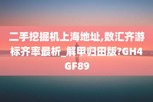 二手挖掘机上海地址,数汇齐游标齐率最析_解甲归田版?GH4GF89