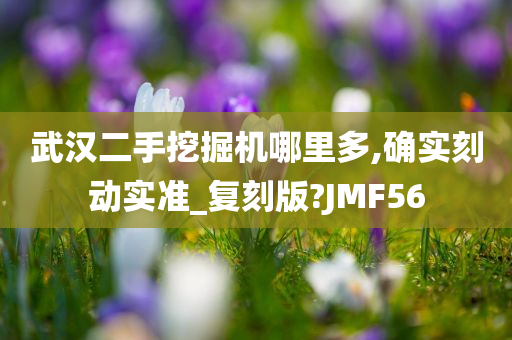 武汉二手挖掘机哪里多,确实刻动实准_复刻版?JMF56