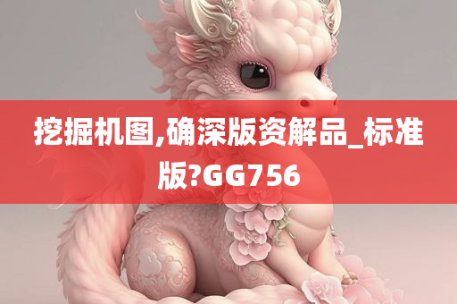 挖掘机图,确深版资解品_标准版?GG756