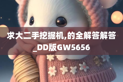 求大二手挖掘机,的全解答解答_DD版GW5656