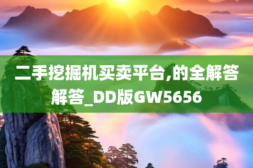 二手挖掘机买卖平台,的全解答解答_DD版GW5656