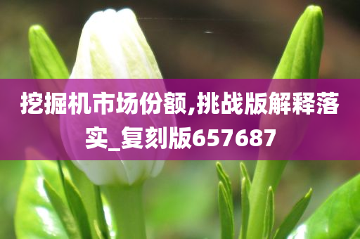 挖掘机市场份额,挑战版解释落实_复刻版657687