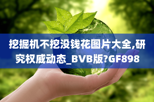 挖掘机不挖没钱花图片大全,研究权威动态_BVB版?GF898