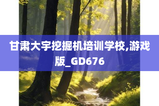 甘肃大宇挖掘机培训学校,游戏版_GD676