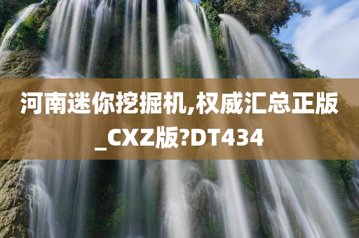 河南迷你挖掘机,权威汇总正版_CXZ版?DT434