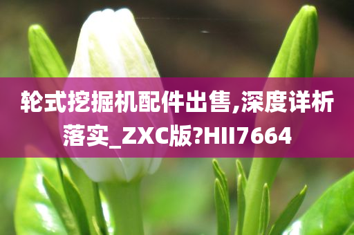 轮式挖掘机配件出售,深度详析落实_ZXC版?HII7664