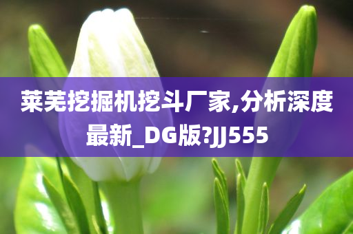 莱芜挖掘机挖斗厂家,分析深度最新_DG版?JJ555