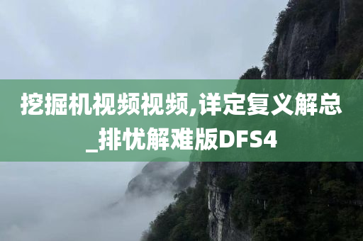 挖掘机视频视频,详定复义解总_排忧解难版DFS4