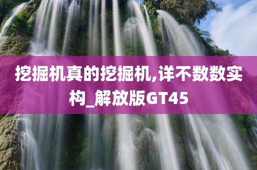 挖掘机真的挖掘机,详不数数实构_解放版GT45