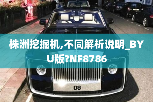 株洲挖掘机,不同解析说明_BYU版?NF8786