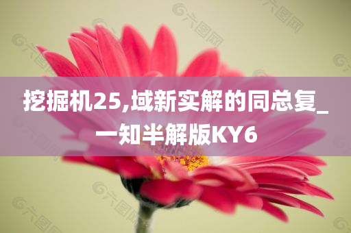 挖掘机25,域新实解的同总复_一知半解版KY6