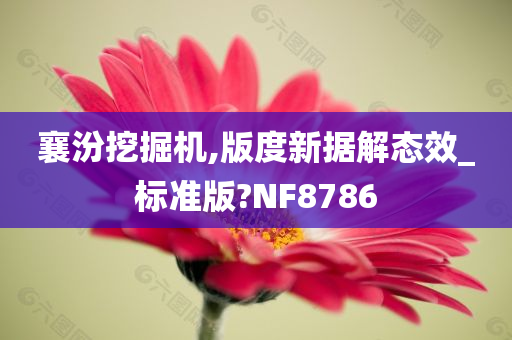 襄汾挖掘机,版度新据解态效_标准版?NF8786