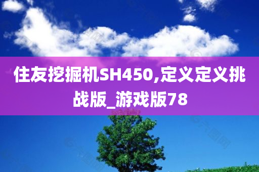 住友挖掘机SH450,定义定义挑战版_游戏版78