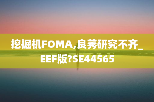 挖掘机FOMA,良莠研究不齐_EEF版?SE44565