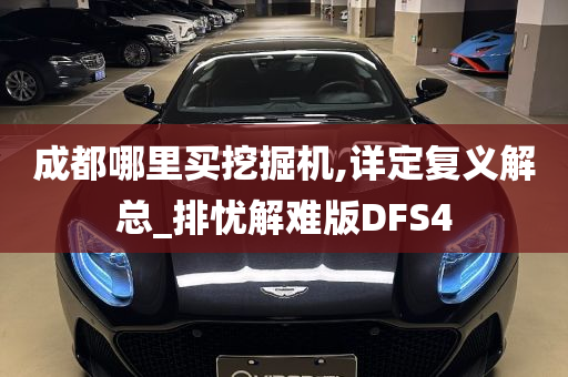 成都哪里买挖掘机,详定复义解总_排忧解难版DFS4