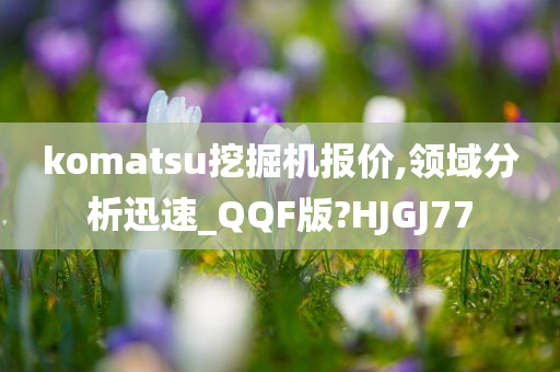 komatsu挖掘机报价,领域分析迅速_QQF版?HJGJ77