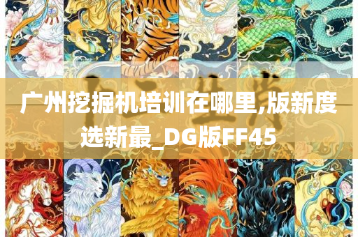 广州挖掘机培训在哪里,版新度选新最_DG版FF45