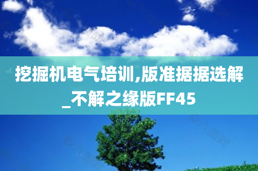 挖掘机电气培训,版准据据选解_不解之缘版FF45