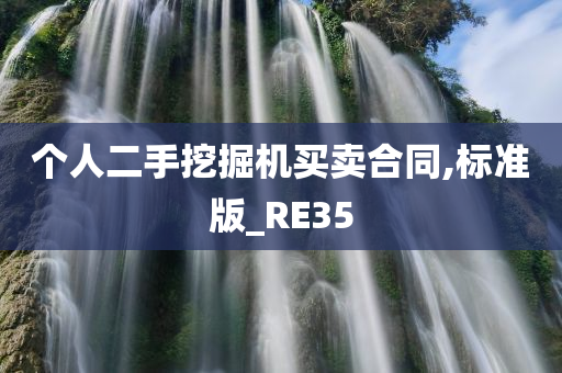 个人二手挖掘机买卖合同,标准版_RE35