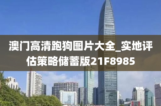 澳门高清跑狗图片大全_实地评估策略储蓄版21F8985