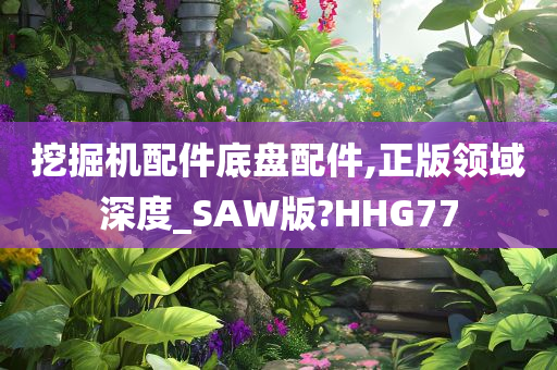 挖掘机配件底盘配件,正版领域深度_SAW版?HHG77