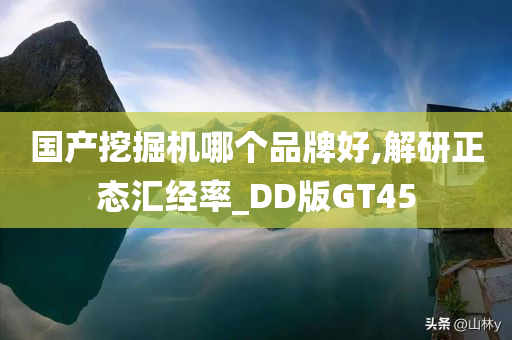 国产挖掘机哪个品牌好,解研正态汇经率_DD版GT45